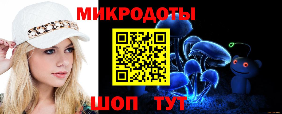 Северск  Псилоцибиновые грибы Psilocybe  Вход с VPN 